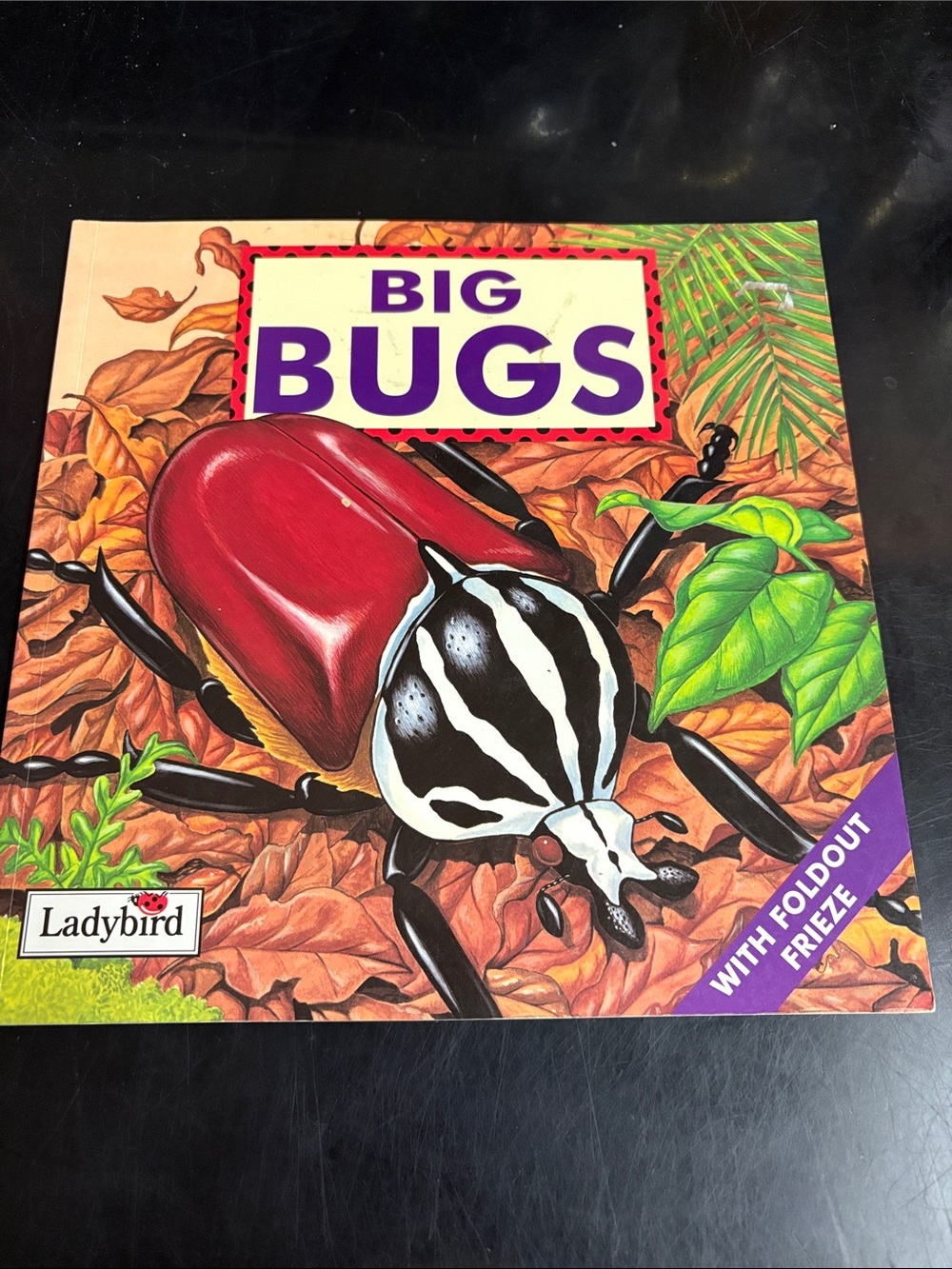 4/$20 Big Bugs Kids Picture Book - Red Cover